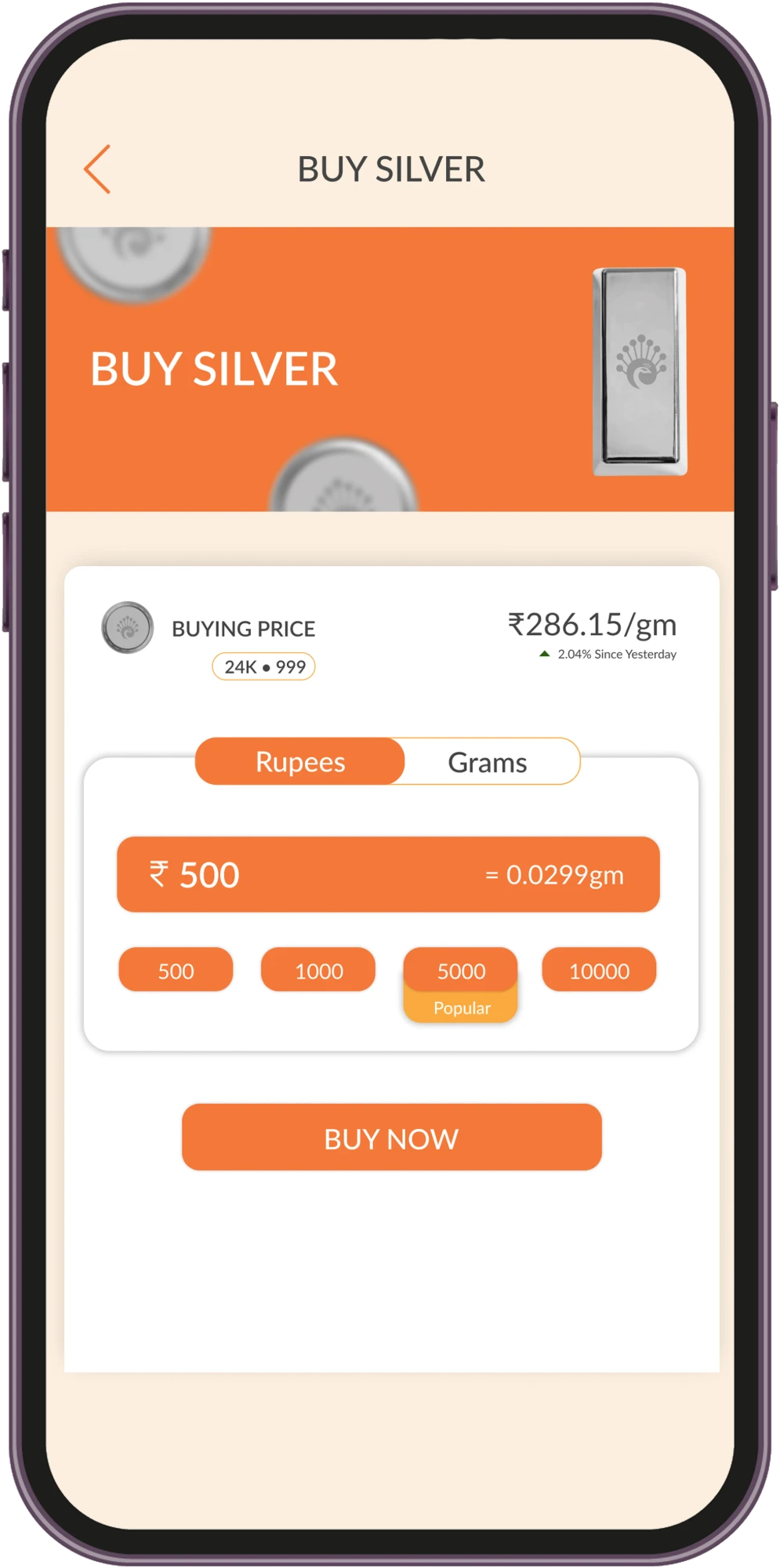 Pure 999 Silver Investment Bars